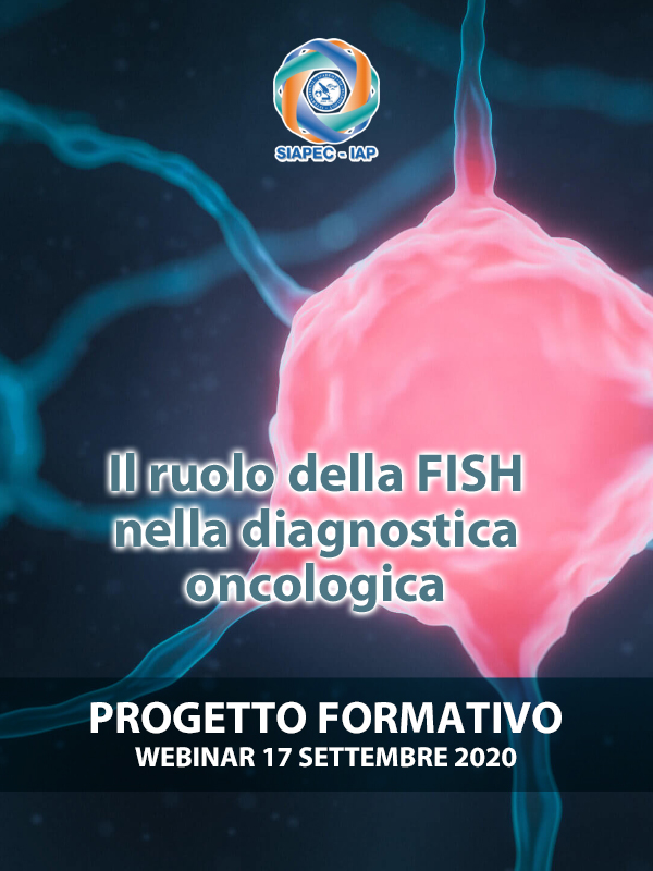 Programma IL RUOLO DELLA FISH NELLA DIAGNOSTICA ONCOLOGICA - 'Approccio razionale all'uso della FISH nella diagnostica nei linfomi'