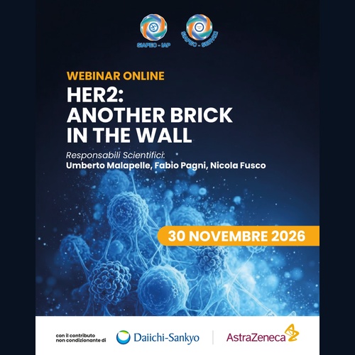 Programma HER2: ANOTHER BRICK IN THE WALL
